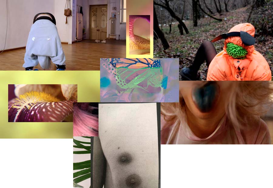 Wow wide web_soft mutant action