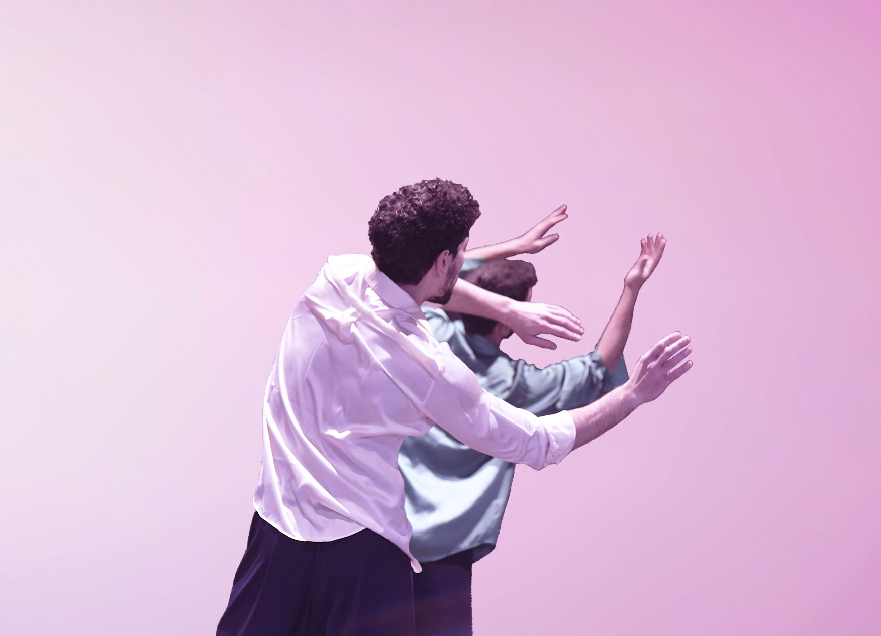 Più Che Danza Festival
