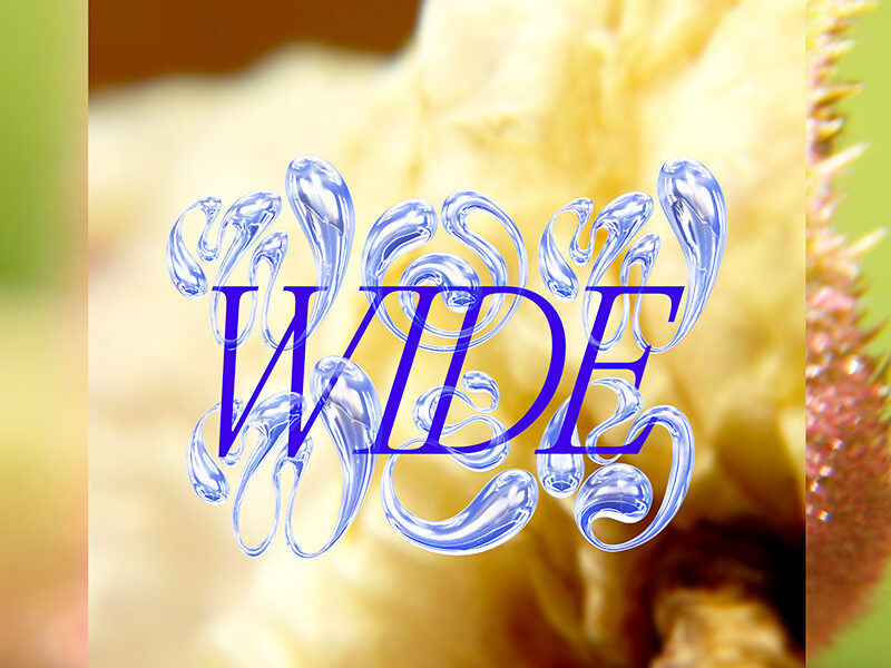 Wow Wide Web