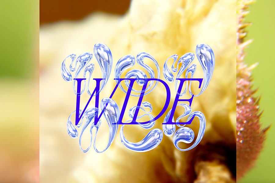 Wow Wide Web